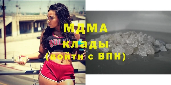 стаф Ельня