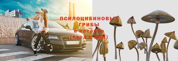 2c-b Елабуга