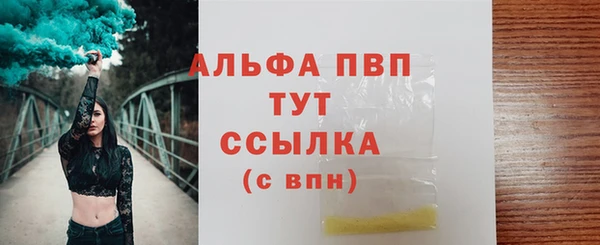 стаф Ельня