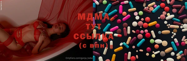 стаф Ельня