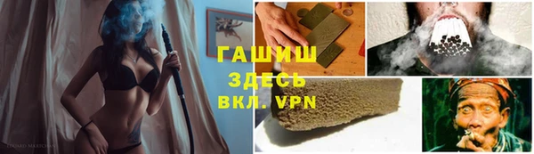 стаф Ельня