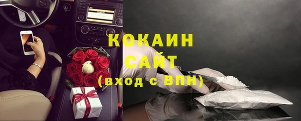 стаф Ельня