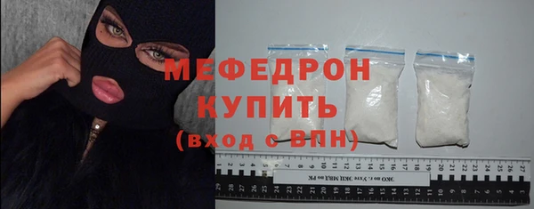 стаф Ельня