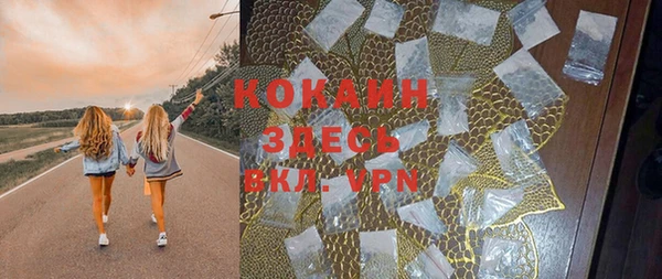 стаф Ельня