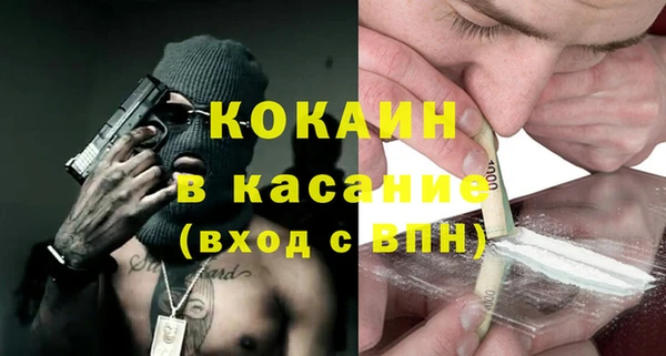 стаф Ельня