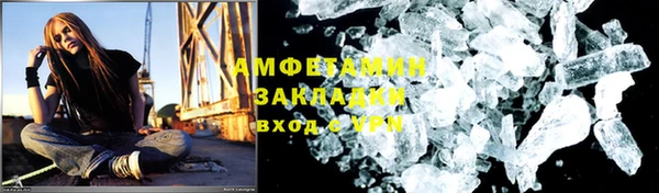 стаф Ельня