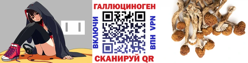 Псилоцибиновые грибы мухоморы  Купить  Зеленодольск 